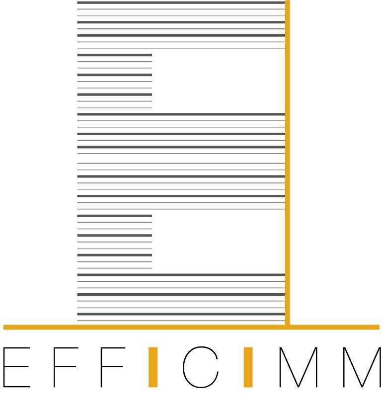 EFFICIMM